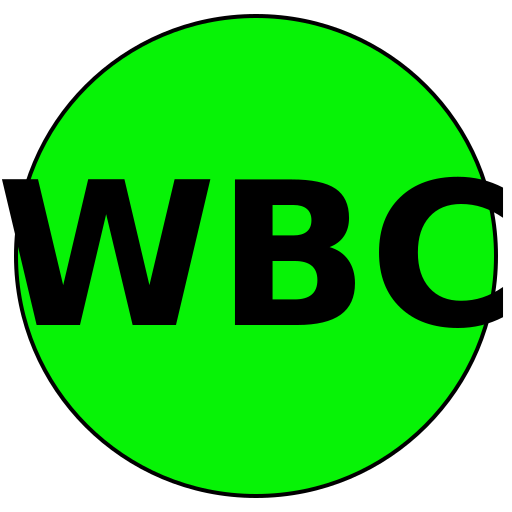 Wise Beauty Consultants